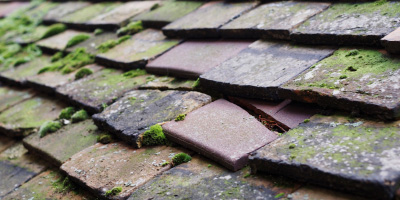 Wick roof repair costs